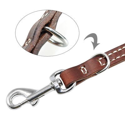 Dog-Leash Pitbull Dogs Large Medium with Mountaineering-Buckle Outdoor for Durable
