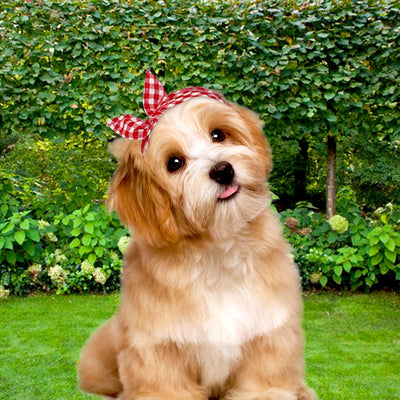 Pet-Scarf Grooming-Accessories Collar Dog-Bandana Pitbull Large Dogs Small Medium Plaid
