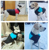 Dog Winter Jackets Fashion Medium Coats Warm Small Waterproof Large Big S-5XL
