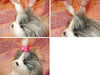 Dog-Grooming-Bands Topknot Dogs-Hair Elastic Latex for Make Best-Rubber