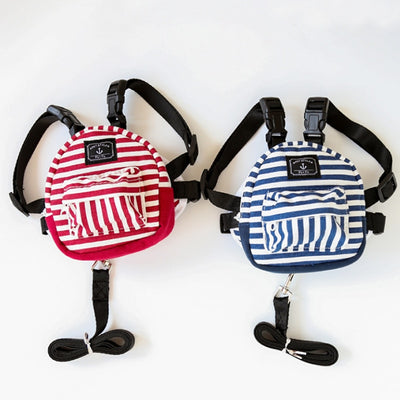 DOGGYZSTYLE Cat-Backpack Bags Outside-Bag Kitten with Striped Leash Cool Teddy for 2-Colors