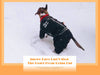 HOOPET Jumpsuit Jacket Hoodie Pet-Coat Dog Warm And Waterproof Winter Large Little