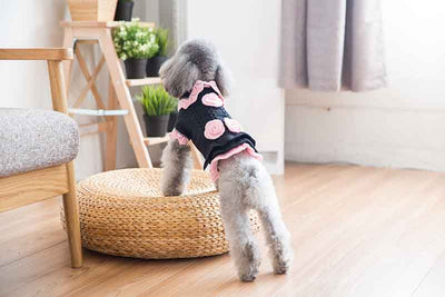 Hipidog Sweater Puppy-Cat Knitted Dogs Chihuahua Winter for Small Yorkshire Princess-Dress
