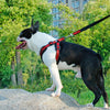 Dog-Harness Safety-Vest Pitbull Dogs Sport-Reflective Dog-Training-Walking No-Pull Large