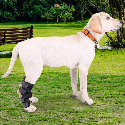 Pet Knee Pads Dog Support Brace for Leg Hock Joint Wrap Breathable Injury Recover Legs