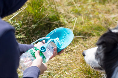 Mysudui Dog-Bowl-Feeder-Tray Travel-Dispenser Water-Bottle Expandable Drink Silicone