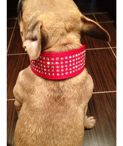 Dog-Collars Boxer Rhinestone Pitbull Dogs Diamante Bling Wide Large Crystal Medium 2inch