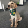 Scarf Grooming-Accessories Bandanas Bow-Ties Pet Christmas Adjustable Bibs Dog Cat Summer