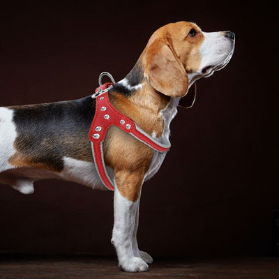 Dog Harness Leather Reflective Small Medium Dogs Vest Harnesses Rhinestone Pug Harness
