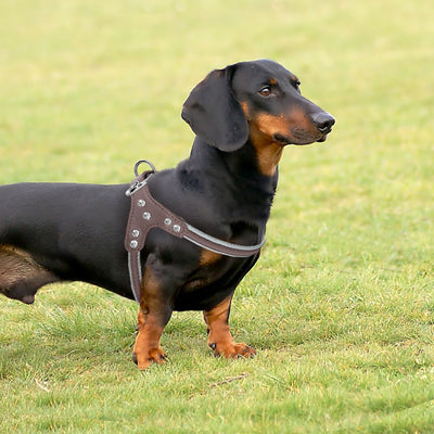 Dog Harness Leather Reflective Small Medium Dogs Vest Harnesses Rhinestone Pug Harness
