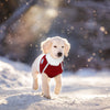 Dog-Harness Vest Reflective Dogs No-Pull French-Bulldog Fleece Small Pet-Vest-Coat