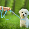 Leash-Set Collars Rhinestone Dogs Adjustable Pink Suede Small Walking Puppy Medium XS