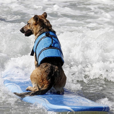 Pet-Swimwear Harness Dog-Supplies Life-Jacket Dog Swimming Preserver Saver Pet-Dog