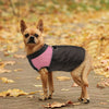 Coat Pet-Vest-Jacket French-Bulldog Small Dogs Chihuahua Waterproof Roupas Cachorro Warm