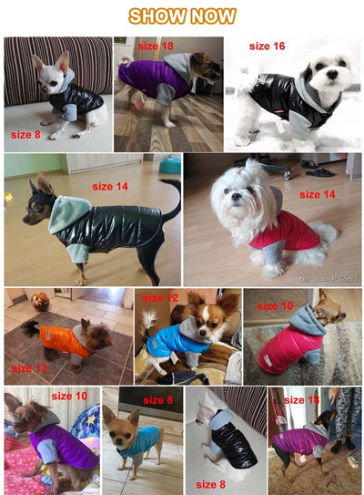 Coat Puppy Pet-Dog-Jacket Winter Hood-Size Warm with 8-18 5-Colors Thickening