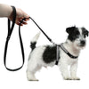 Didog Leash-Set Pet-Harnesses Walking-Leads Rhinestone Dogs Small Chihuahua Medium