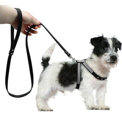 Didog Leash-Set Pet-Harnesses Walking-Leads Rhinestone Dogs Small Chihuahua Medium