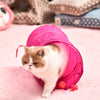 Toy Nest-Toys Pet-Tunnel Play-Tent Cat Foldable Ball Kitten Funny Rabbit Bulk