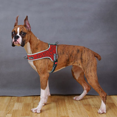 Harness Vest Pet-Supplies Dogs Reflective Walking-Training Large Medium Nylon Adjustable