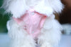 Glorious Kek Dog Clothes Winter Yorkshire Luxury Dress Fur-Collar Small Princess Cute Girl Tzu Shih
