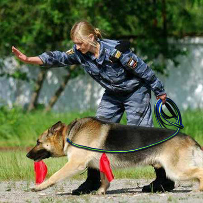 Dog-Tracking-Leash Training Dogs Large Nylon Walking Medium Non-Slip 10m 5m 3m Padded