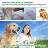 Dog-Collar Herbal Anti-Flea Dewel Waterproof Protection Cat 2pcs Insect 8-Months Ticks