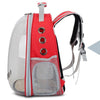 Beautiful Breathable Portable Pet Carrier Bag Outdoor Travel cat bag Transparent Space Pet Backpack