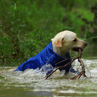 Hooded-Jumpsuit Pet-Dog-Raincoat Labrador Big Dogs Golden Retriever Waterproof Cloak