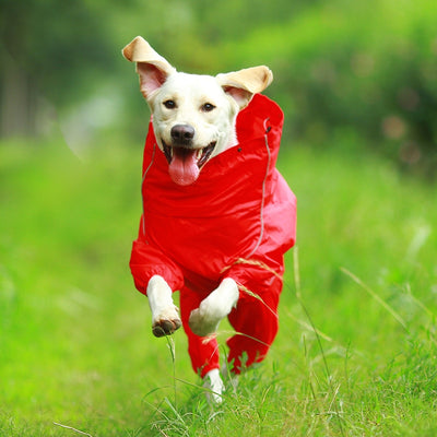 Hooded-Jumpsuit Pet-Dog-Raincoat Labrador Big Dogs Golden Retriever Waterproof Cloak