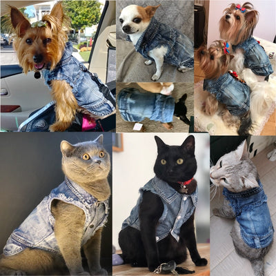 DOGGYZSTYLE Summer Jacket T-Shirt Vest Jean Puppy-Cat-Hole Dogs Chihuahua Denim Small