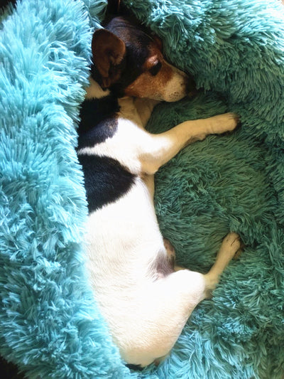 Sofa-Basket Lounger Pet-Kennel Dog-Bed-House Sleeping-Bag Round Warm Small Large Dog