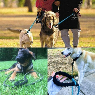 Benepaw Accessories Dog Padded-Handle Lead Pet-Leash Reflective Metal Large Durable Medium