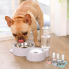 Automatic Pet Feeder Water Dispenser Cat Dog Drinking Bowl Watering Supplies