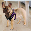 Vest Pet-Harnesses Reflective No-Pull-Mesh Step-In French-Bulldog-Pitbull Nylon 3M