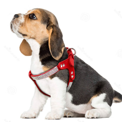 Vest Harnesses Dogs Chihuahua Puppy Rhinestone Pink Small Medium Soft for Pet Mascotas-Cachorro