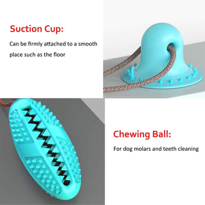 Pet Dog Toys Silicon Suction Cup Tug dog toy Dogs Push Ball Toy Pet Tooth Cleaning Dog