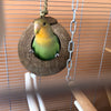 Bird-Cages Nesting Parrot House Finches Pet-Parakeets Small Coconut-Shell Natural