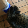 Cat Scratcher Cat-Toy Play Plastic Self-Grooming Corner Comb Pet-Brush Arch-Massager