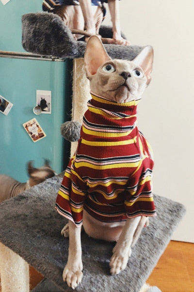 Sweater Hairless Sphinx Knitted Striped for Clothing Warm Cat-Supplier