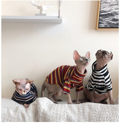 Sweater Hairless Sphinx Knitted Striped for Clothing Warm Cat-Supplier