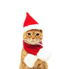 Pet Dog Cat Scarf Cap Cloak Headband Set Gifts Christmas Party Winter Clothes