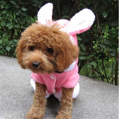 Costume Hoodies Outfit Pet Pet-Cat-Jacket Puppy-Fleece Rabbit for Cute Cat-Clothing Warm