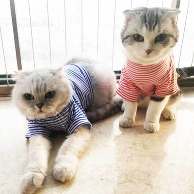 Cat Jacket Pet-Clothing Puppy-Outfit Kitty Winter Dogs Warm Autumn for Small Cotton Costumes