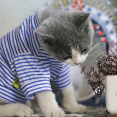 Cat Jacket Pet-Clothing Puppy-Outfit Kitty Winter Dogs Warm Autumn for Small Cotton Costumes