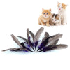 Cat Toy Refill Wand Interactive-Toys Gift Bird-Feather Home New 5PCS Gatos