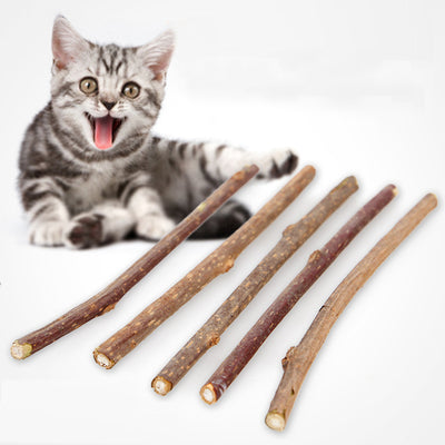 Stick Cat-Toys Snacks Catnip Cats Teeth Kitten for Pet Toothbrush