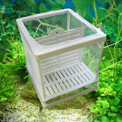 Breeder-Box Aquarium-Accessory-Supplies Isolation-Net Hanging Fish-Tank Baby