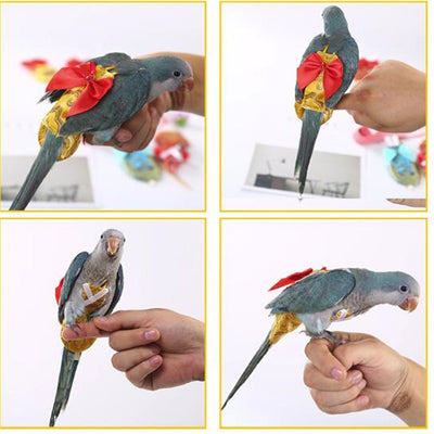 Pet Bird Diaper Adjustable Cockatiel Flying Suit Leash Parrot Pigeon Clothes