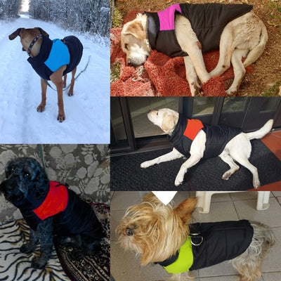 Coat Clothing Jacket Vest Puppy Dogs Small Waterproof Chihuahua Large Winter Medium Pet-Dog
