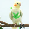 Parrot Bird Leash Outdoor Adjustable Harness Training Rope For Small Birds